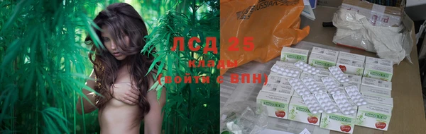 ГАЛЛЮЦИНОГЕННЫЕ ГРИБЫ Новодвинск