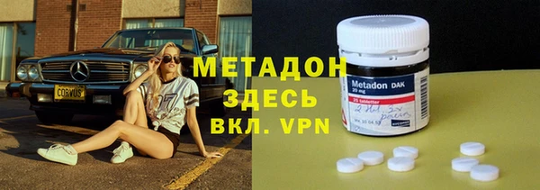 сатива Новокубанск