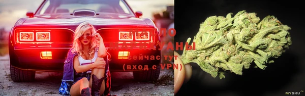 ГАЛЛЮЦИНОГЕННЫЕ ГРИБЫ Новодвинск