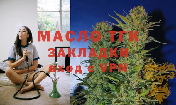 сатива Новокубанск