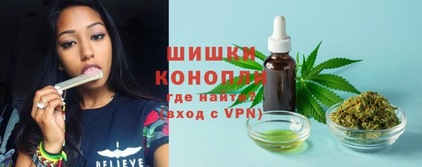 ГАЛЛЮЦИНОГЕННЫЕ ГРИБЫ Новодвинск