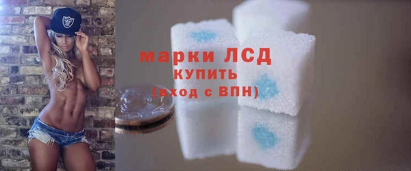 сатива Новокубанск