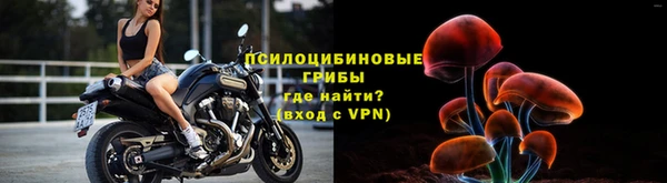 ГАЛЛЮЦИНОГЕННЫЕ ГРИБЫ Новодвинск