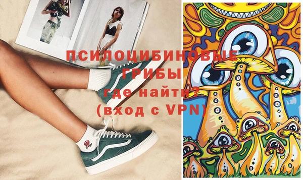 сатива Новокубанск