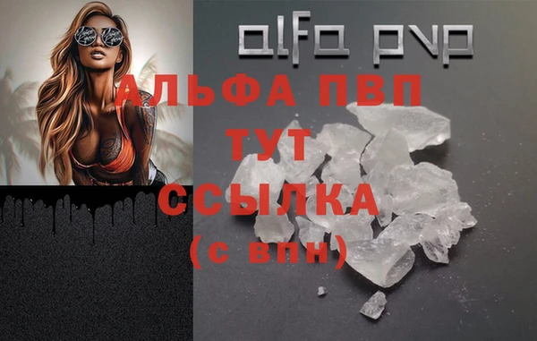 сатива Новокубанск