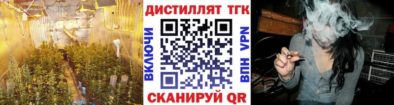Купить закладки  Николаевск  Дистиллят ТГК жижа 