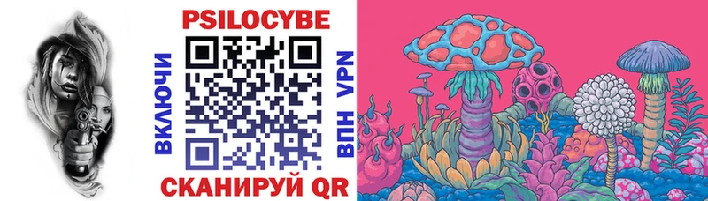 Псилоцибиновые грибы ЛСД  Купить закладки  Николаевск 